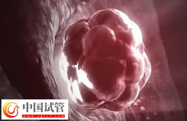 試管嬰兒移植后著床時(shí)間 試管嬰兒移植后胚胎多久能著床?(圖1)