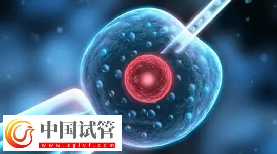 廣州哪家做試管嬰兒可以包懷上的？首選中山大學附屬第一醫院(圖1)
