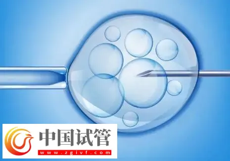 濟南2025試管助孕代/懷產(chǎn)子機構(gòu)名單，附流程與費用介紹(圖1)