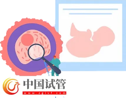 北京試管助孕大概要多少錢？這是2024最新收費(fèi)標(biāo)準(zhǔn)(圖2)