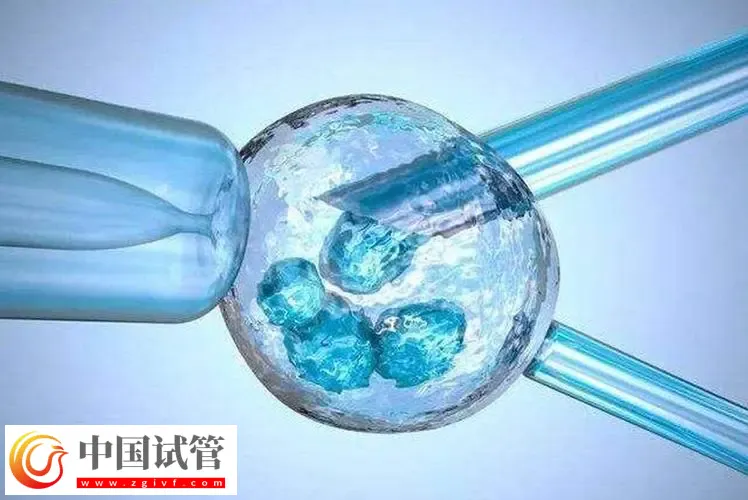 北京試管助孕大概要多少錢？這是2024最新收費(fèi)標(biāo)準(zhǔn)(圖3)