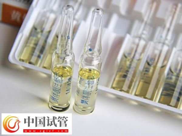 囊胚移植后為什么要補(bǔ)充孕酮(圖1)