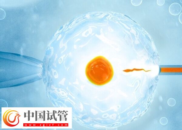 囊胚是4開頭好還是5開頭好(圖1) 囊胚是4開頭好還是5開頭好(圖1)