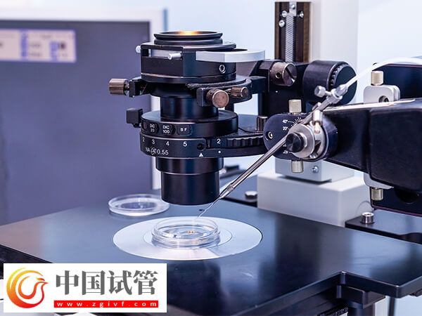 二代試管好還是三代好(圖1) 二代試管好還是三代好(圖1)