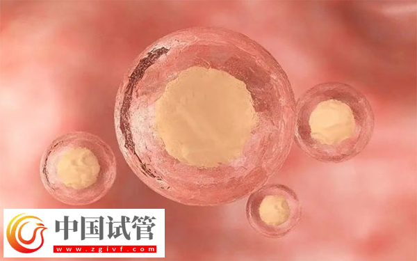 普通促排和試管促排哪個好(圖1)