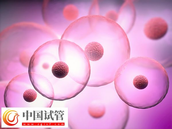 試管促排針和促排藥哪種好(圖1)