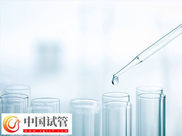 試管怎么備孕成功率高(圖2) 試管怎么備孕成功率高(圖2)