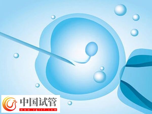 試管失敗是不是等于流產(chǎn)(圖1)