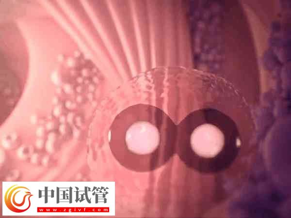 試管失敗是不是等于流產(chǎn)(圖2)