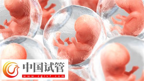 揭秘試管供卵自懷的最高年齡(圖1)