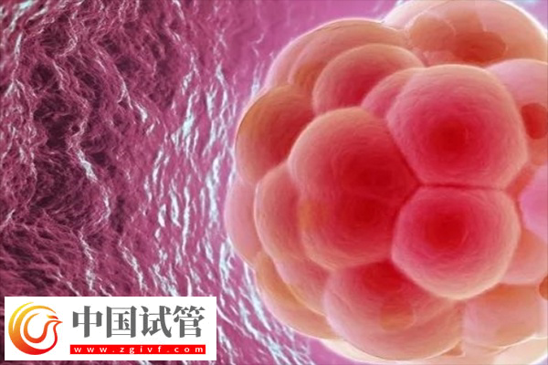 在美國做試管卵泡監測幾次能成功(圖3)