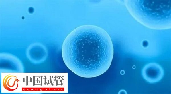 前往泰國(guó)做試管移植凍胚和囊胚是否一樣(圖2)
