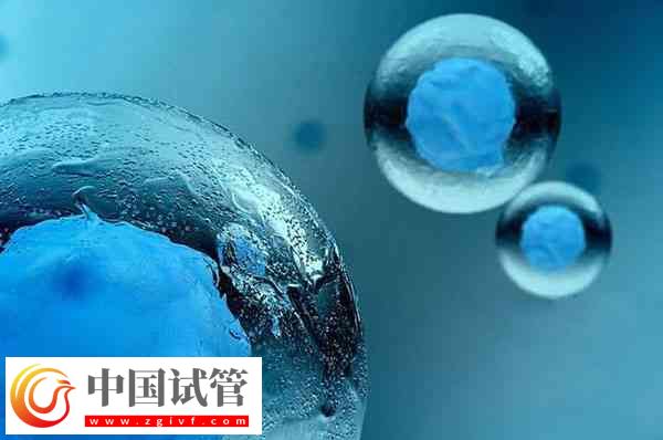前往泰國(guó)做試管移植凍胚和囊胚是否一樣(圖3)