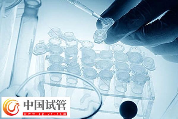 做試管嬰兒的時間怎么安排(圖3)