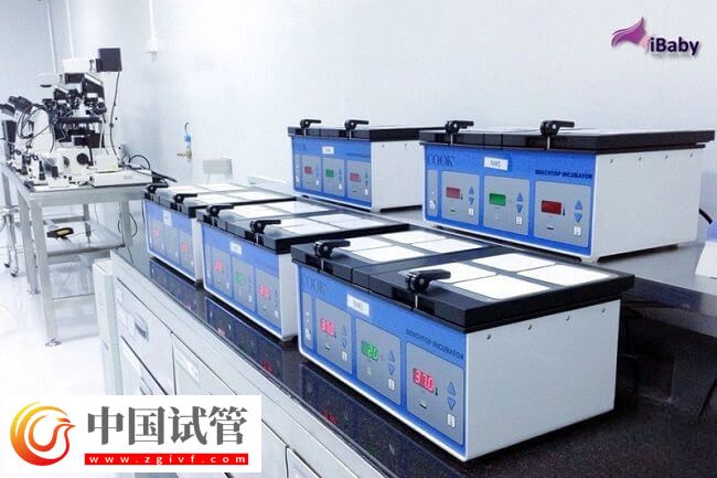 DNAAF2基因突變是什么情況(圖1)