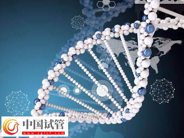 什么是DRC1基因突變(圖1)