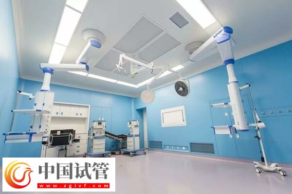 什么是DRC1基因突變(圖2)