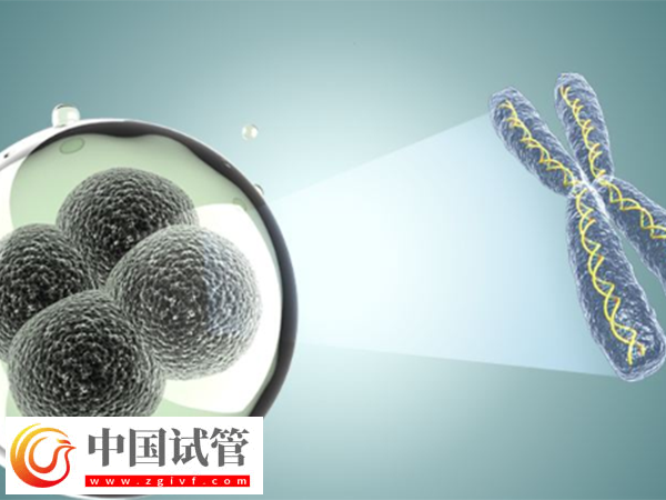 女性內(nèi)膜13b是否可以移植囊胚胚胎(圖1)