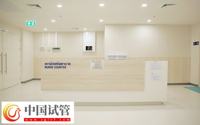 去泰國做試管有沒有受騙的(圖3)
