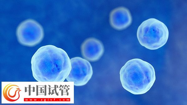 去泰國做試管有沒有受騙的(圖1)