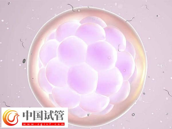 三代試管PGD技術檢測是否必須養囊(圖1)