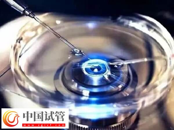 3bc的凍囊胚質量好不好(圖2)