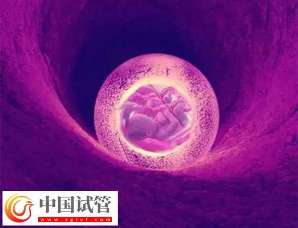 女性卵巢早衰對移植有無影響(圖1)