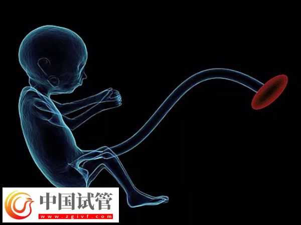 試管出生雙胞胎的健康與什么有關(guān)(圖1) 試管出生雙胞胎的健康與什么有關(guān)(圖1)