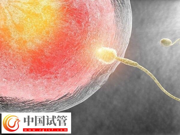 供精人工受孕需要什么手續(xù)(圖2) 供精人工受孕需要什么手續(xù)(圖2)