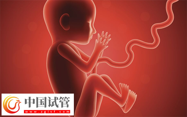 試管胚胎移植做二超能不能轉(zhuǎn)產(chǎn)科(圖1) 試管胚胎移植做二超能不能轉(zhuǎn)產(chǎn)科(圖1)