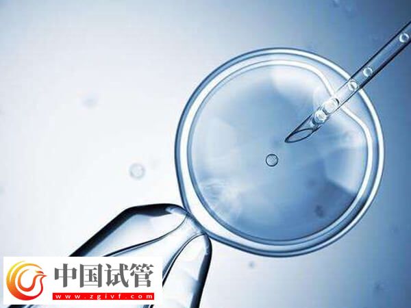 莆田附屬醫(yī)院二代試管嬰兒成功率如何？(圖1)