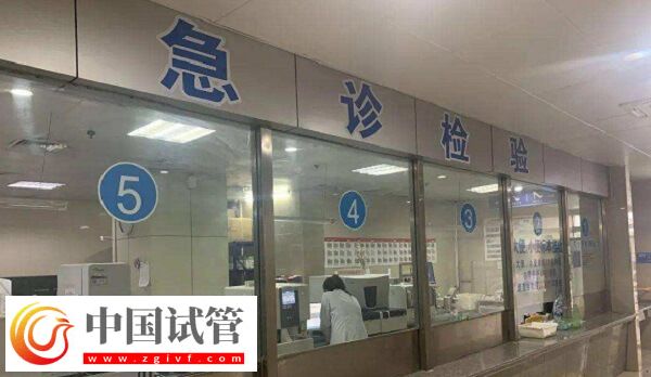 宿州做試管嬰兒選煤電總醫(yī)院和市第一人民醫(yī)院哪個好？(圖1)