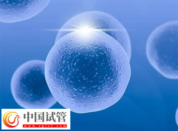 北京試管醫院有哪些(圖1)