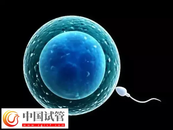 北京試管醫院有哪些(圖4)
