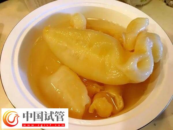 取卵后吃花膠好不好(圖1) 取卵后吃花膠好不好(圖1)