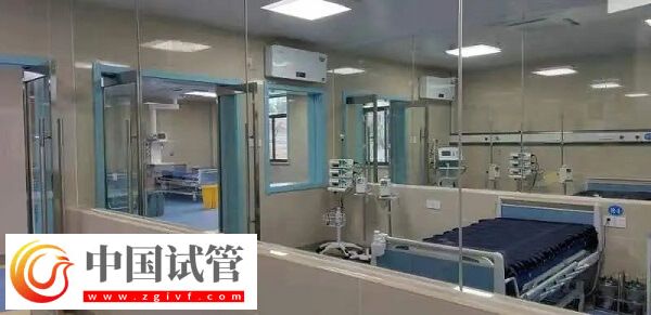 銅陵有沒有做供卵試管不用排隊的醫院？(圖1)