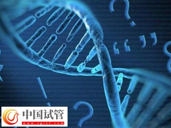 白山有沒有能做無創(chuàng)親子鑒定的醫(yī)院？(圖1)
