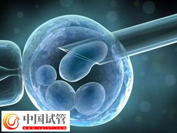 孕婦甲亢最怕的三種水果一覽表：香蕉、梨子日常多吃有好處(圖1)
