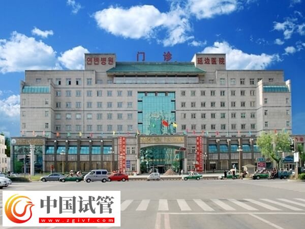 延邊醫院做一次二代試管嬰兒助孕要準備多少錢？(圖1)