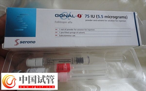 試管打果納芬多久取卵(圖1)