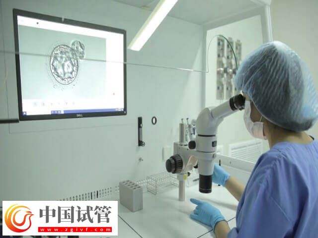 試管移植優(yōu)胚為什么會出現(xiàn)空囊(圖1)