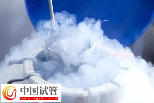 囊胚和凍囊胚是否一樣(圖2)