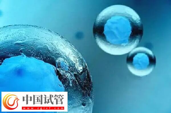 5天囊胚和3天鮮胚有哪些區別(圖1)