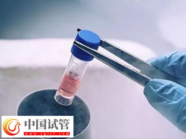 養囊成功后冷凍起來會怎么樣(圖1)