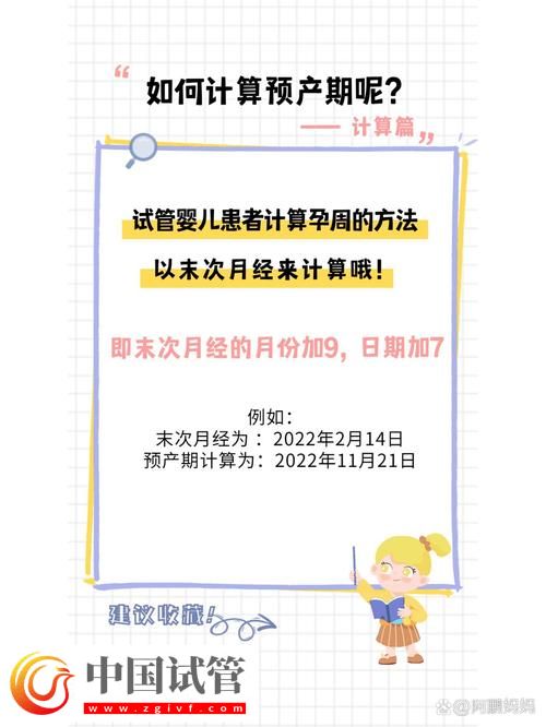 試管嬰兒的孕期計算方法(圖2)