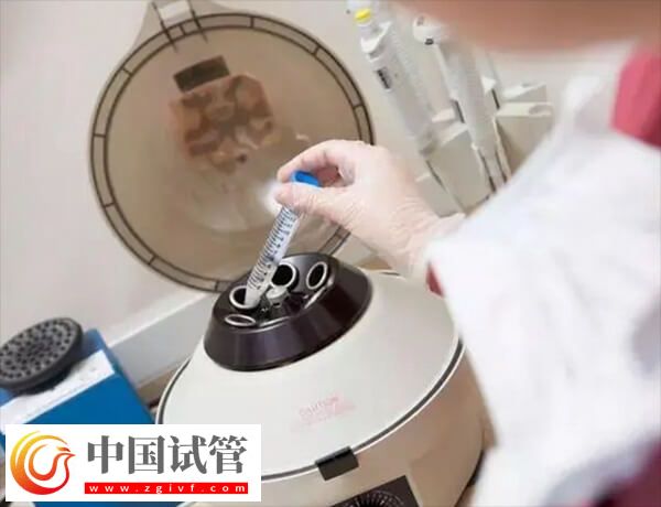 D6胚胎的質量好還是D5的好(圖1)