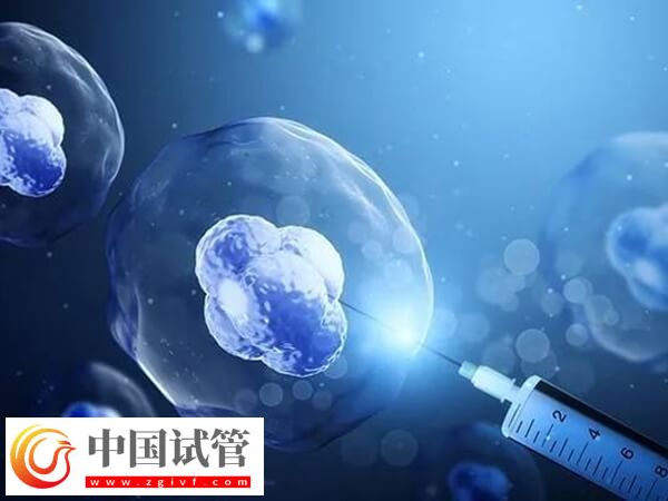 高齡做試管嬰兒怎么調(diào)理身體(圖1)