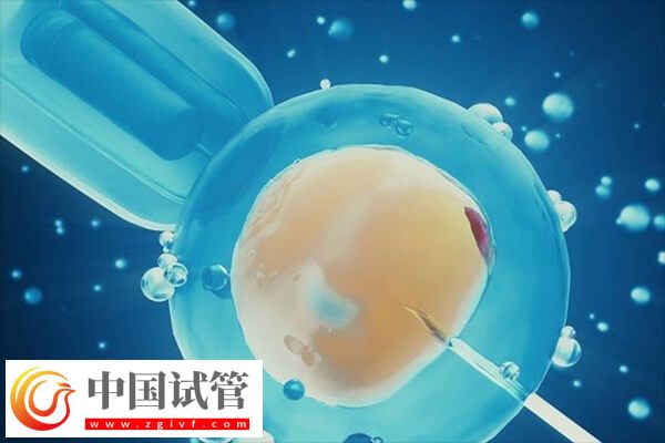 移植鮮胚后多久著床(圖1)