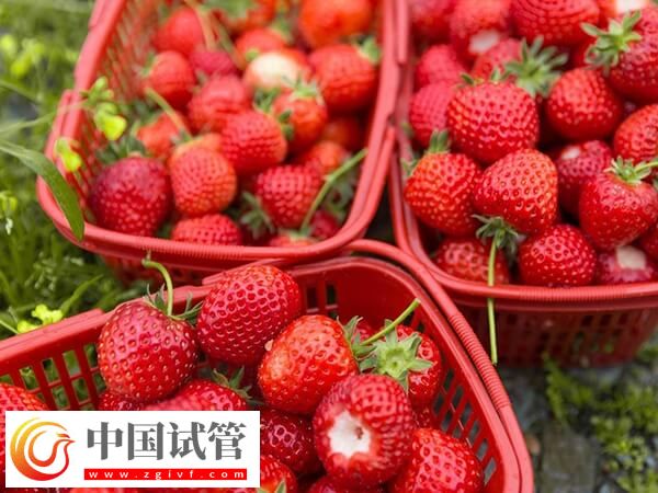 試管移植后能吃哪些水果(圖2)