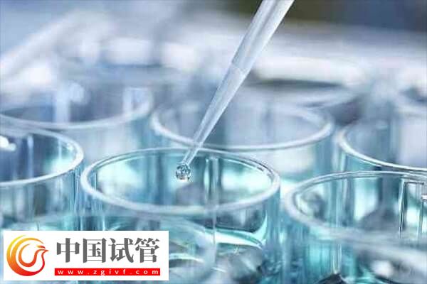 胚胎培育周期結束后何時進行移植(圖1)